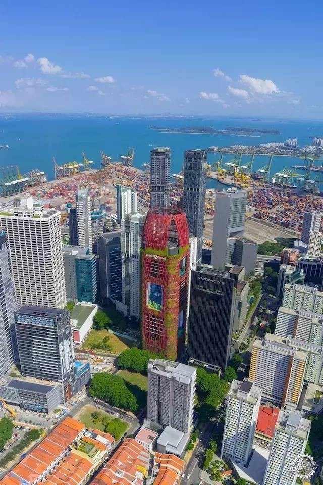 新加坡的生态建筑专业户，又建了一个长满绿植的酒店第3张图片