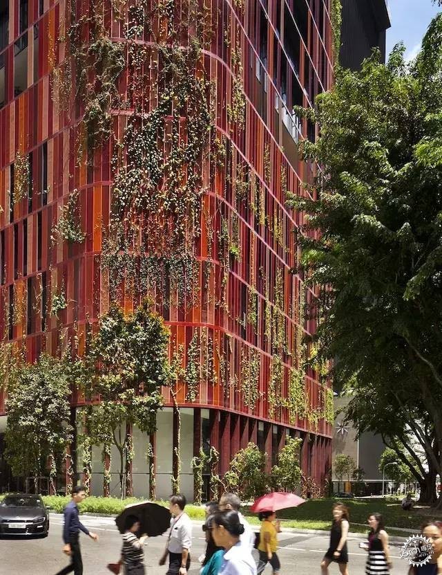 新加坡的生态建筑专业户，又建了一个长满绿植的酒店第6张图片